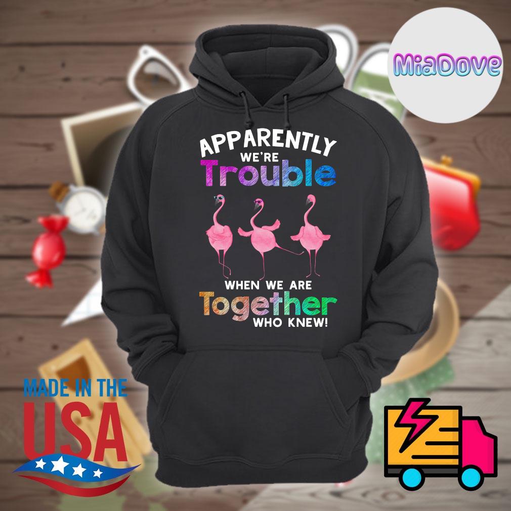 Flamingo apparently we're trouble when we are together who knew s Hoodie